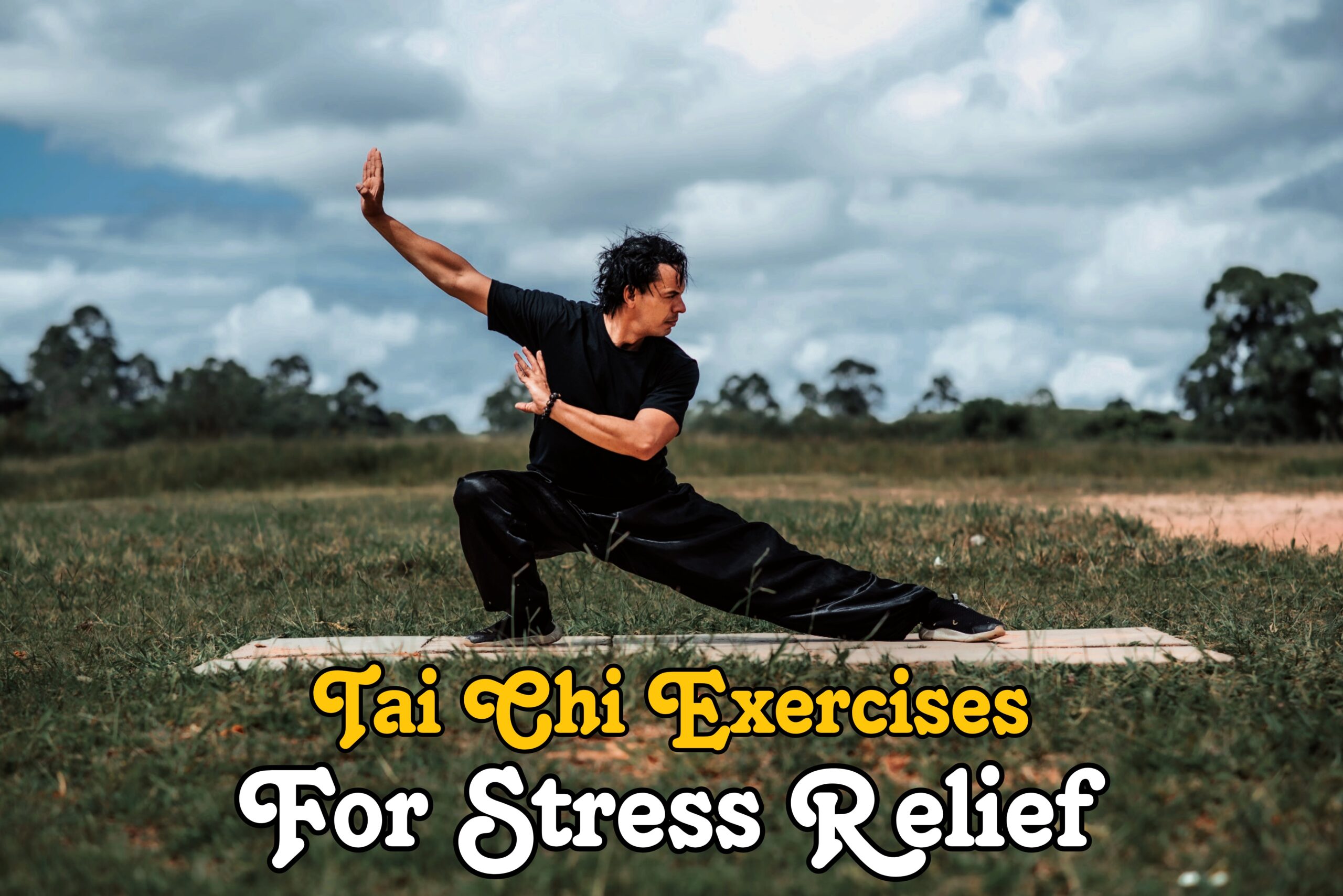 Read more about the article Powerful Tai Chi Exercises For Stress Reduction